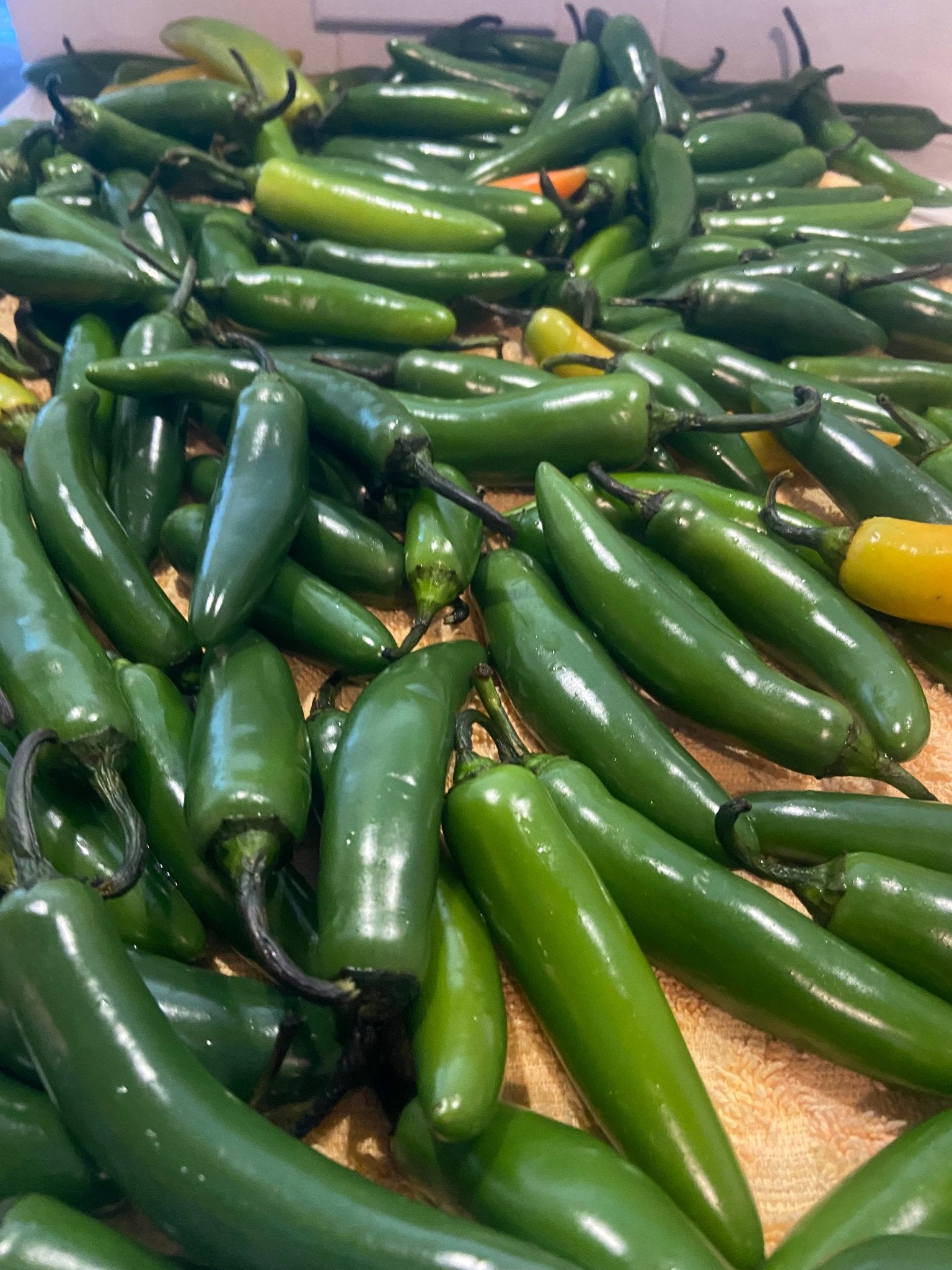 Crispy Serrano - Angel's Cocina